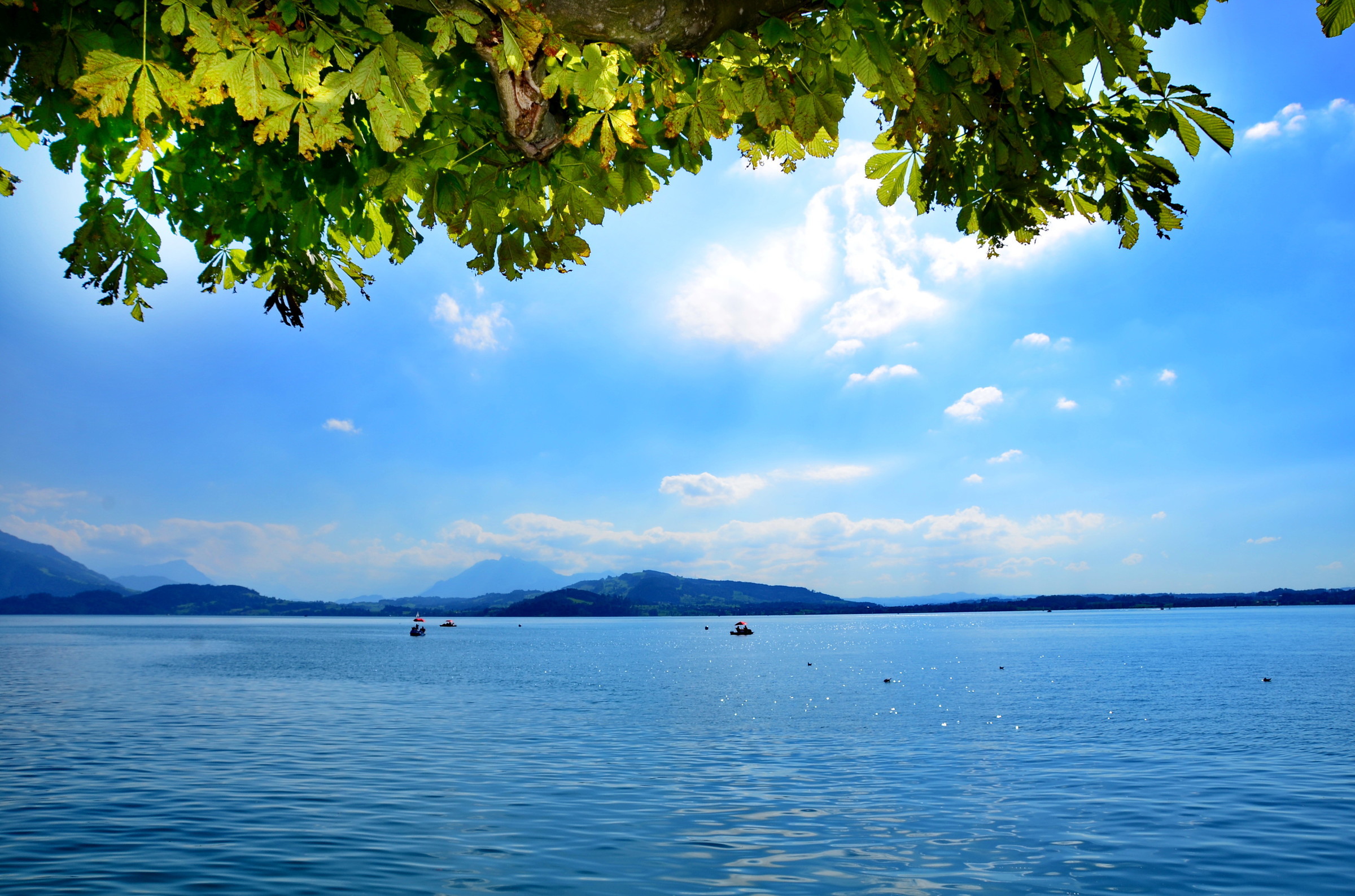 Zug